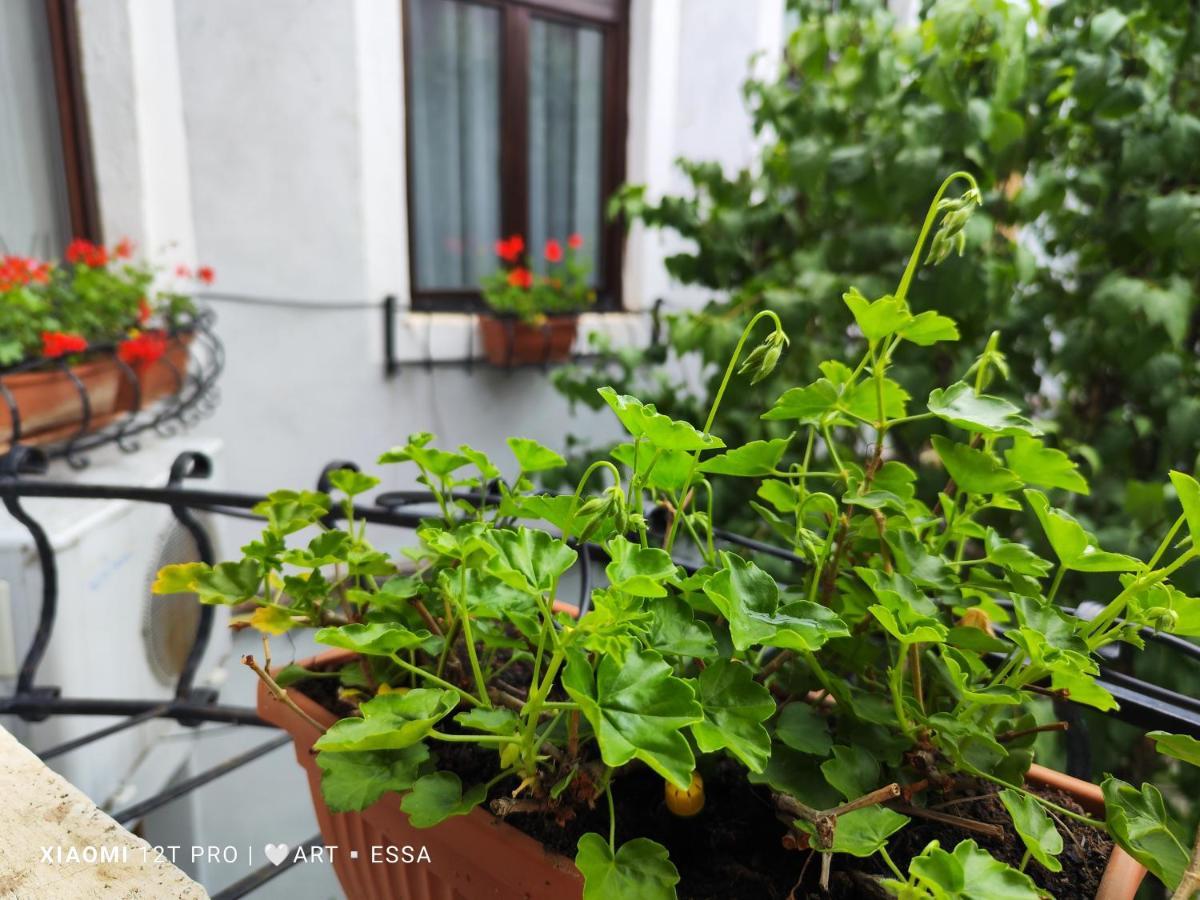 Apartament Buon Gusto,Near Main Square And Liar Bridge,Historical Side Of City Center Sibiu Dış mekan fotoğraf