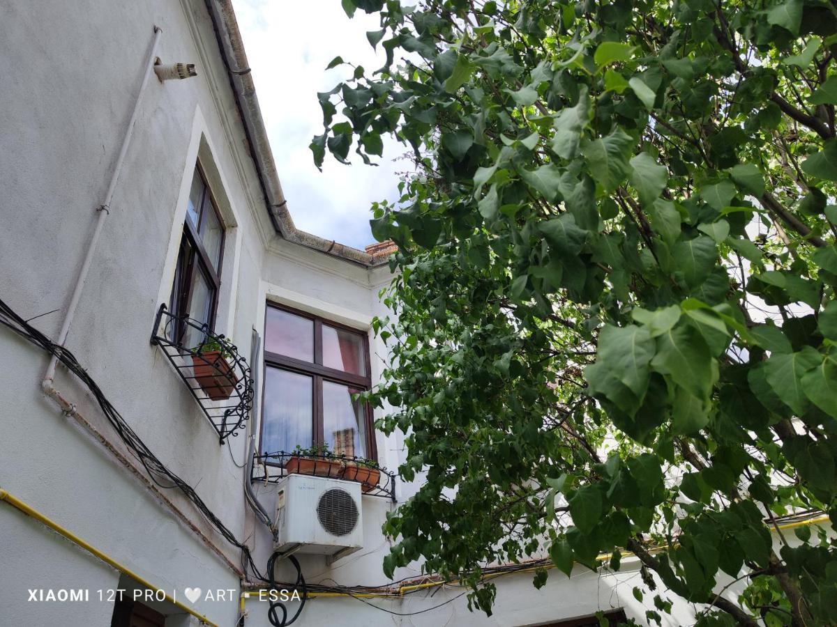 Apartament Buon Gusto,Near Main Square And Liar Bridge,Historical Side Of City Center Sibiu Dış mekan fotoğraf
