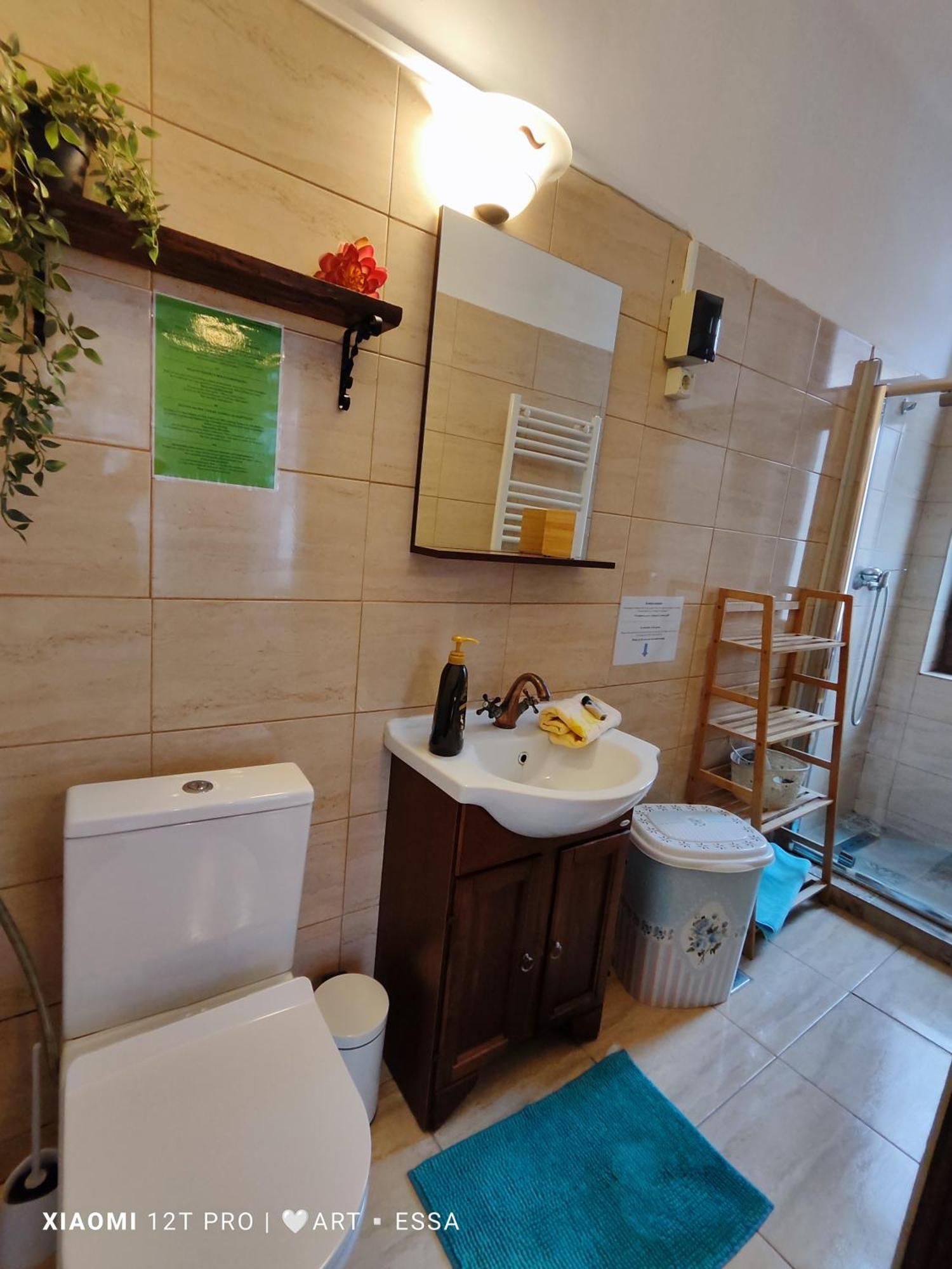 Apartament Buon Gusto,Near Main Square And Liar Bridge,Historical Side Of City Center Sibiu Dış mekan fotoğraf
